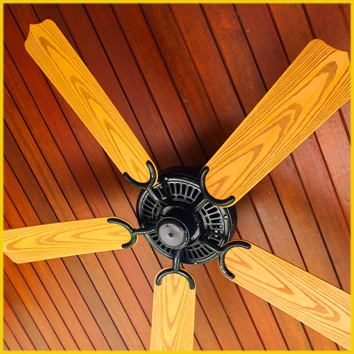 Ceiling Fan